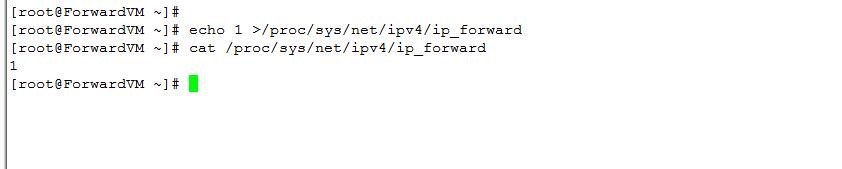ip-forward